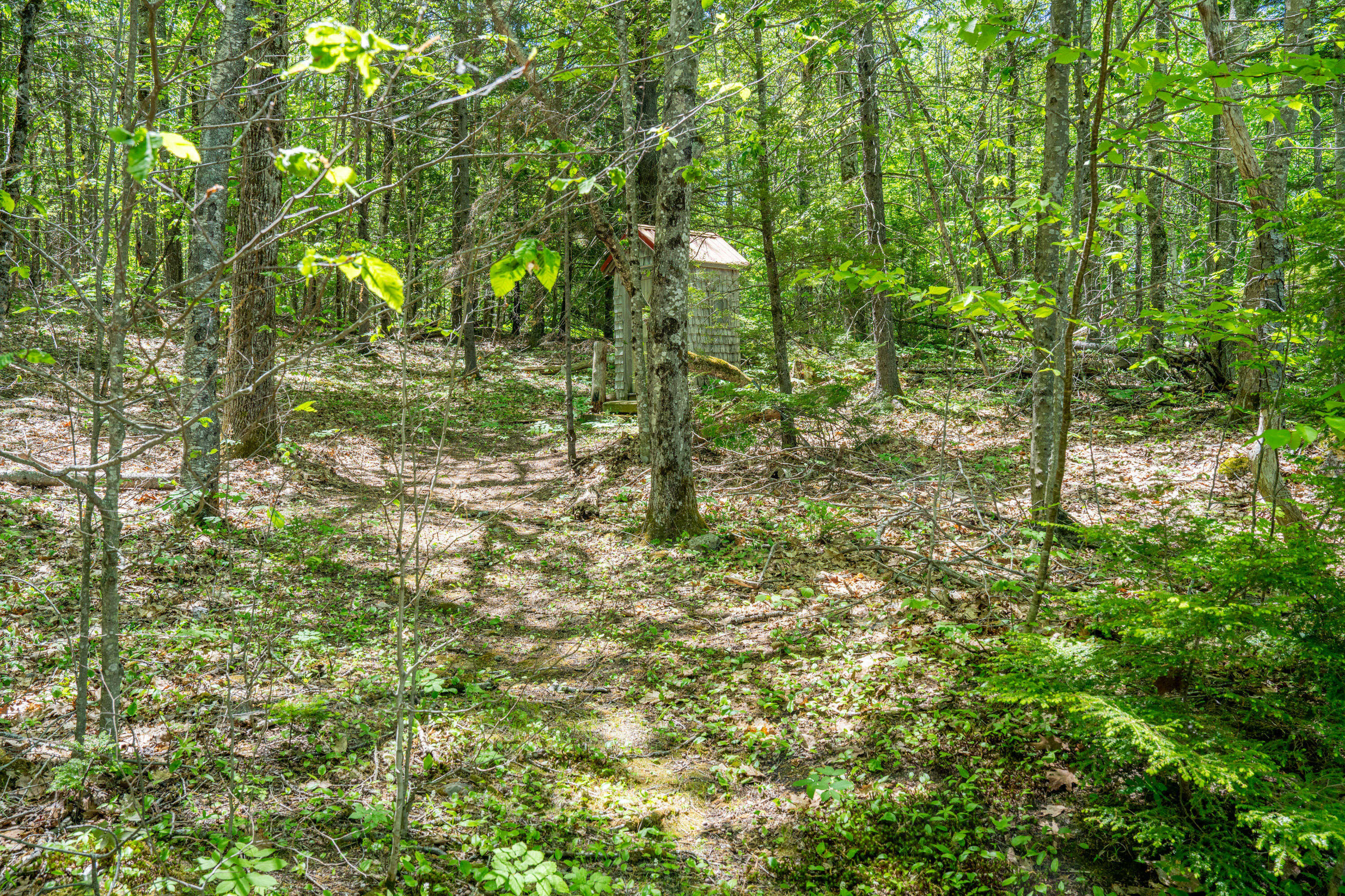 314 Frye Mountain Road Knox, ME 04986 - Photo 26 of 26 2936