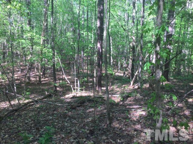 10311 Fanny Brown Road Raleigh, NC 27603 - Photo 3 of 3