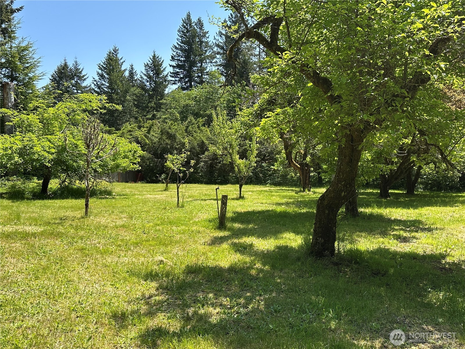 46 Heckel Road Port Angeles, WA 98363 - Photo 23 of 30 Gallery Image 23
