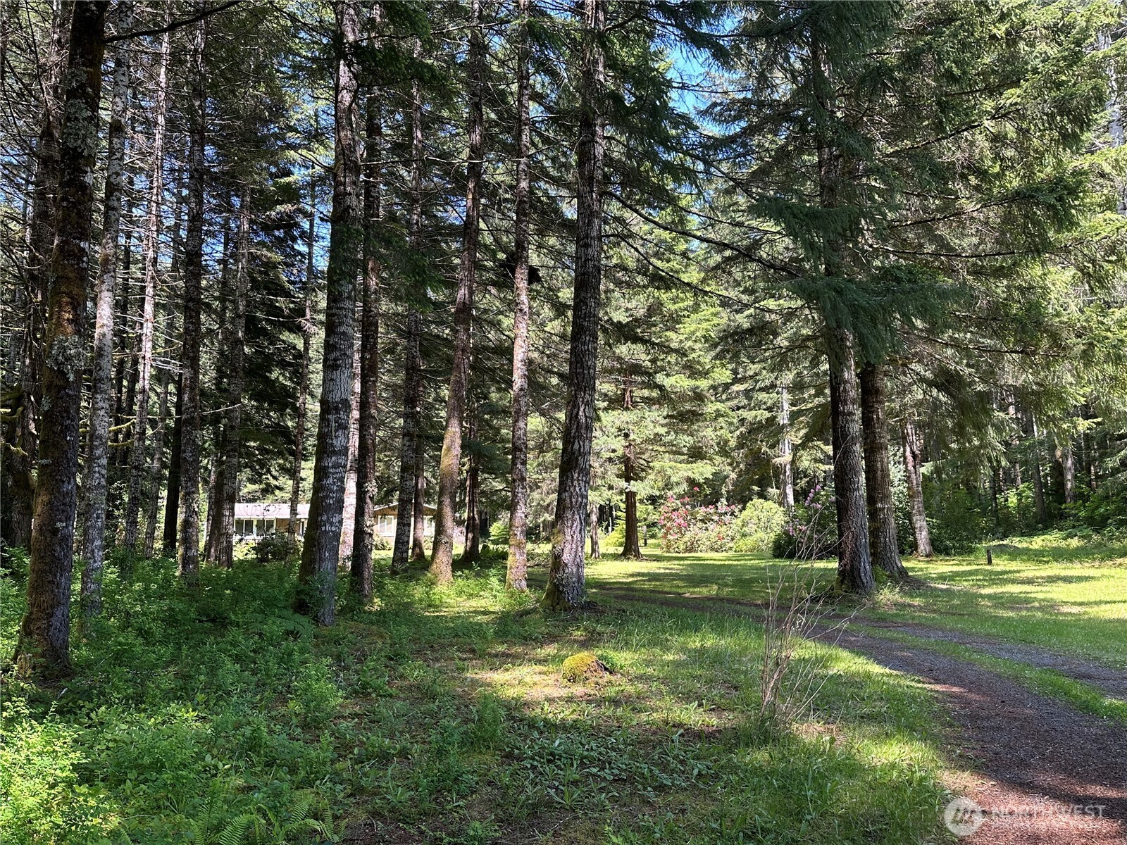 46 Heckel Road Port Angeles, WA 98363 - Photo 24 of 30 Gallery Image 24