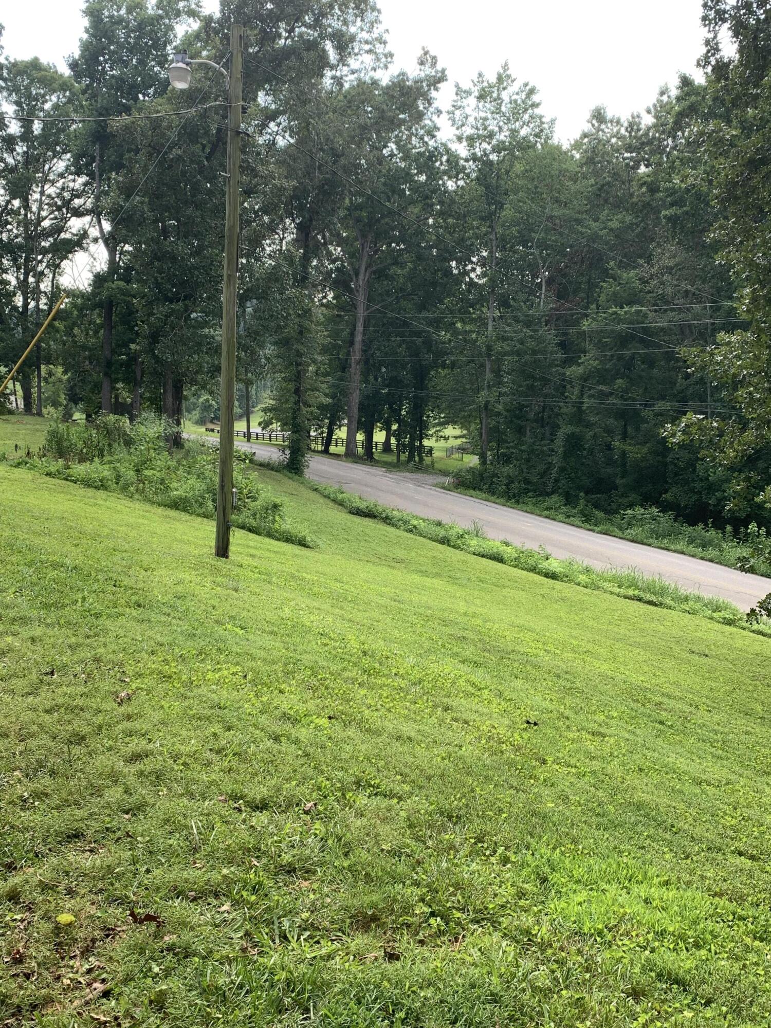 1757 Prospect Church Road Loudon, TN 37774 - Photo 23 of 25 Front yard