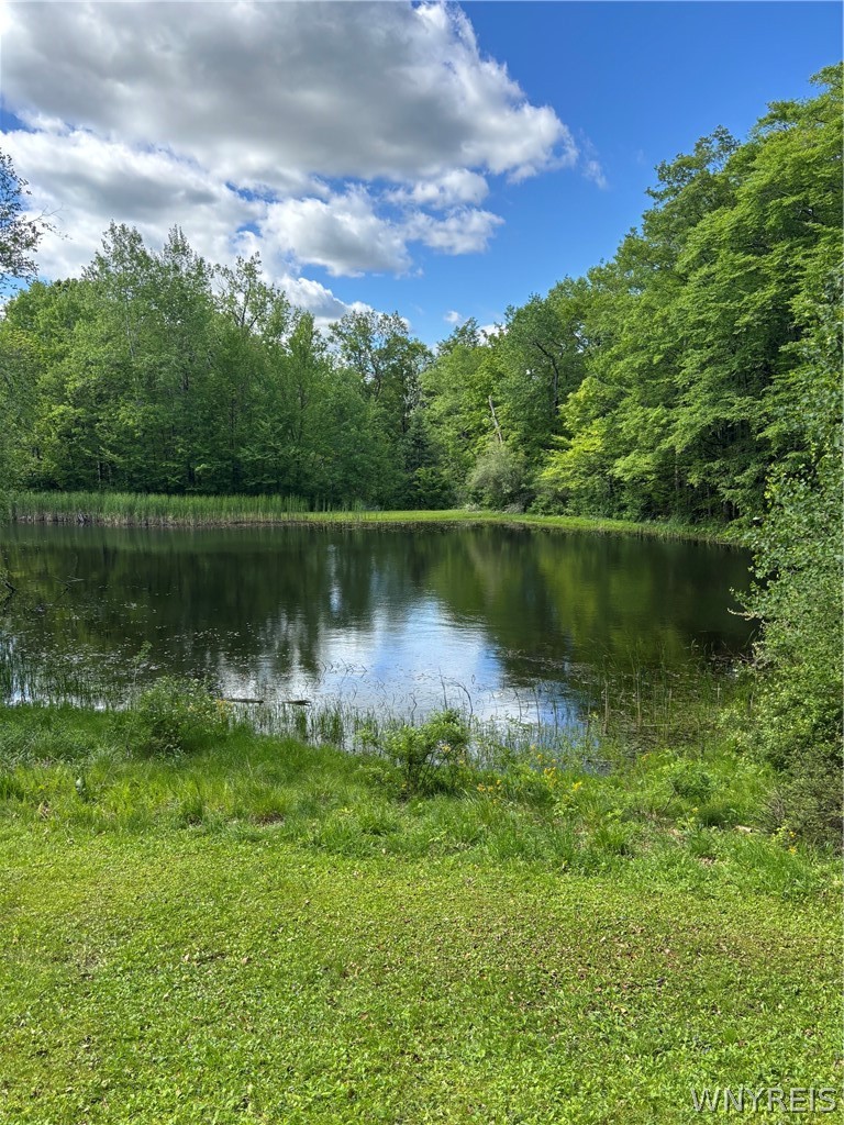 10147 Savage Road Sardinia, NY 14080 - Photo 17 of 21