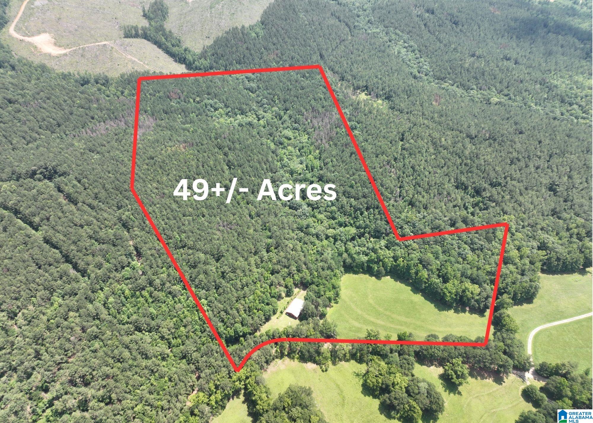 1540 Pepper Road, Unit 49 / ACRES Ashland, AL 36251 - Photo 1 of 31