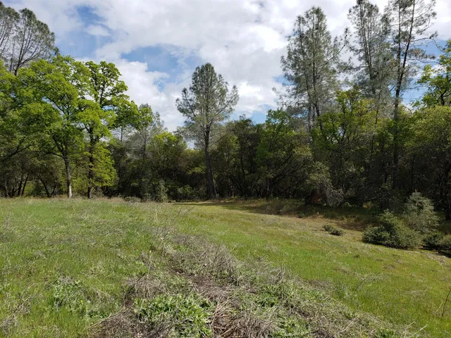 a view of a field of grass and trees
