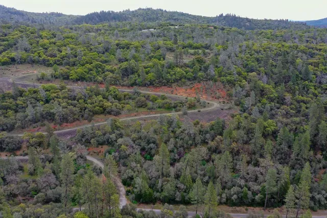 a view of a green field with an ocean