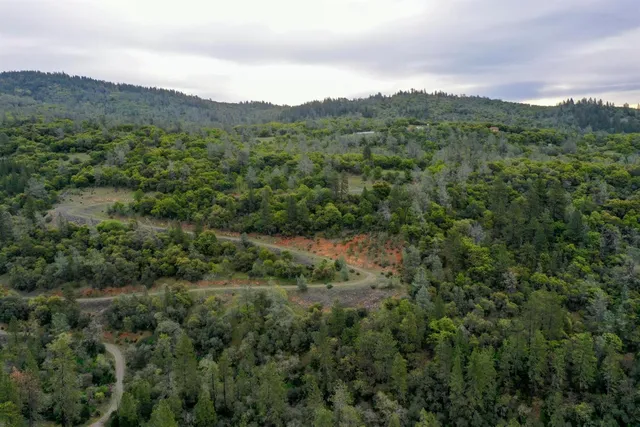 a view of a garden with a pathway
