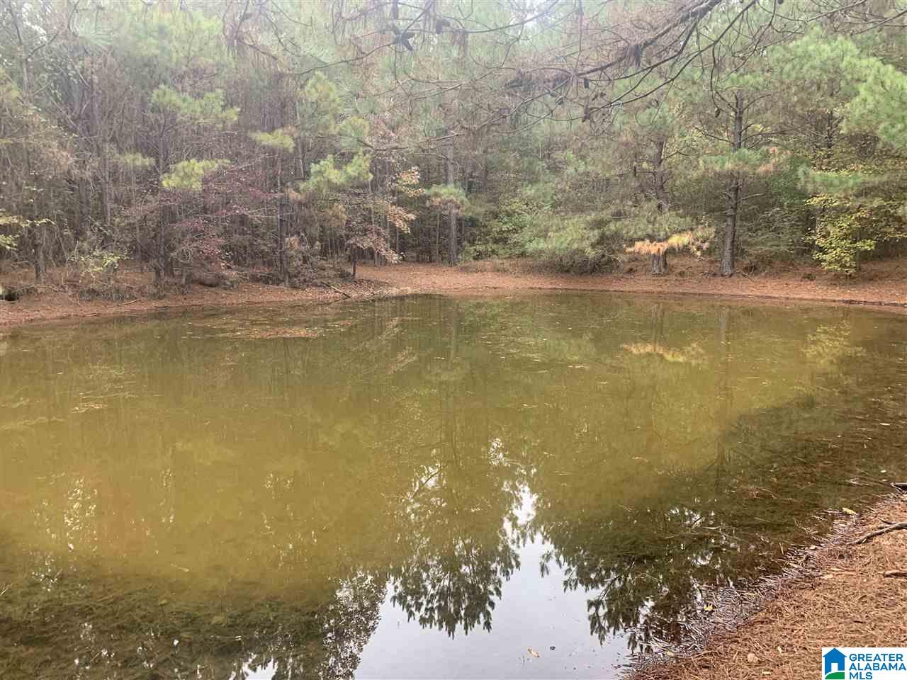 0 Homestead Drive, Unit 1 Springville, AL 35146 - Photo 8 of 32
