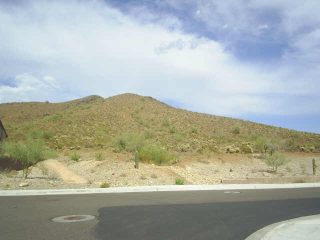 1931 West Caleb Road Phoenix, AZ 85085 - Photo 5 of 6 Additional Photo
