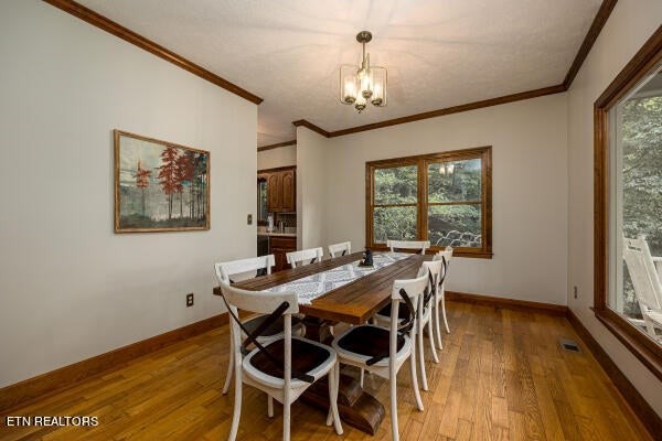 296 Lane Hollow Road Sevierville, TN 37876 - Photo 9 of 23 Gallery Image 9