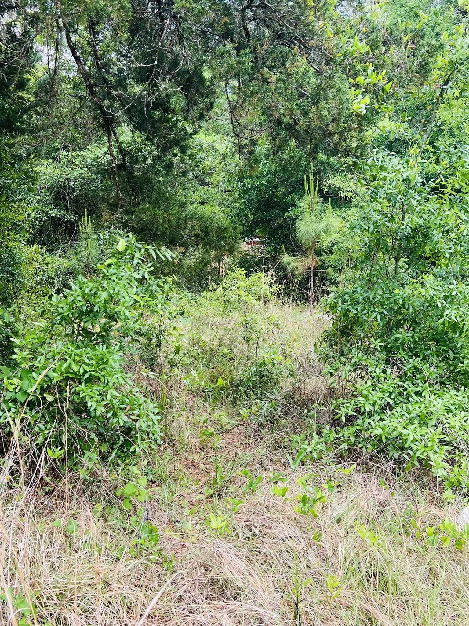 2523 Palmetto Terrace Carrabelle, FL 32322 - Photo 11 of 12