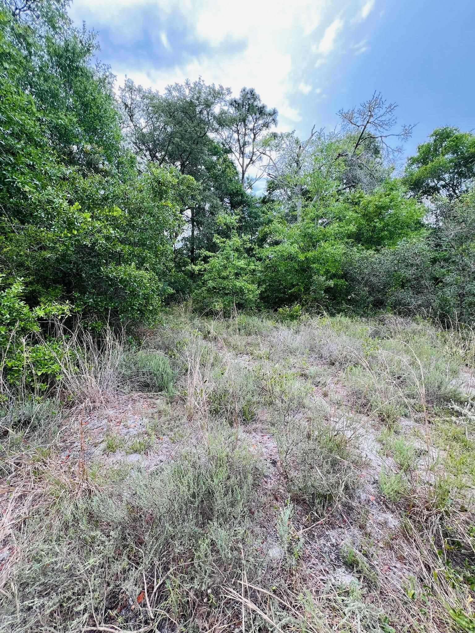 2523 Palmetto Terrace Carrabelle, FL 32322 - Photo 12 of 12