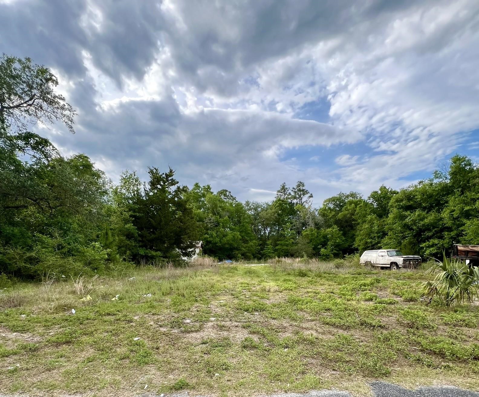 2523 Palmetto Terrace Carrabelle, FL 32322 - Photo 3 of 12