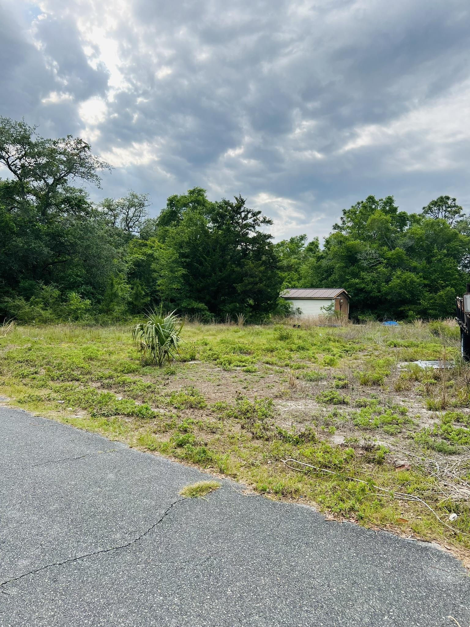 2523 Palmetto Terrace Carrabelle, FL 32322 - Photo 6 of 12