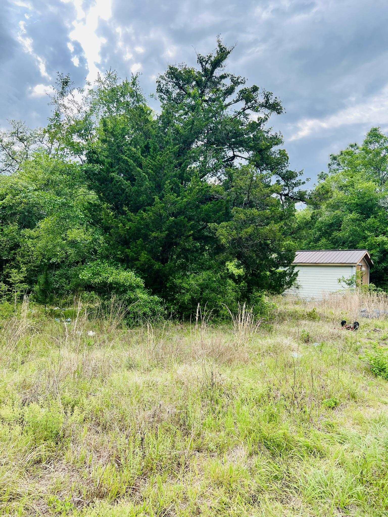 2523 Palmetto Terrace Carrabelle, FL 32322 - Photo 8 of 12