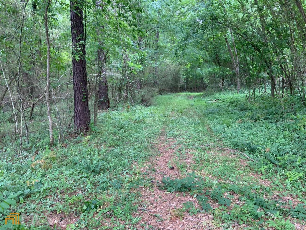 1400 Gober Road Bishop, GA 30621 - Photo 1 of 1 a view of a forest with trees