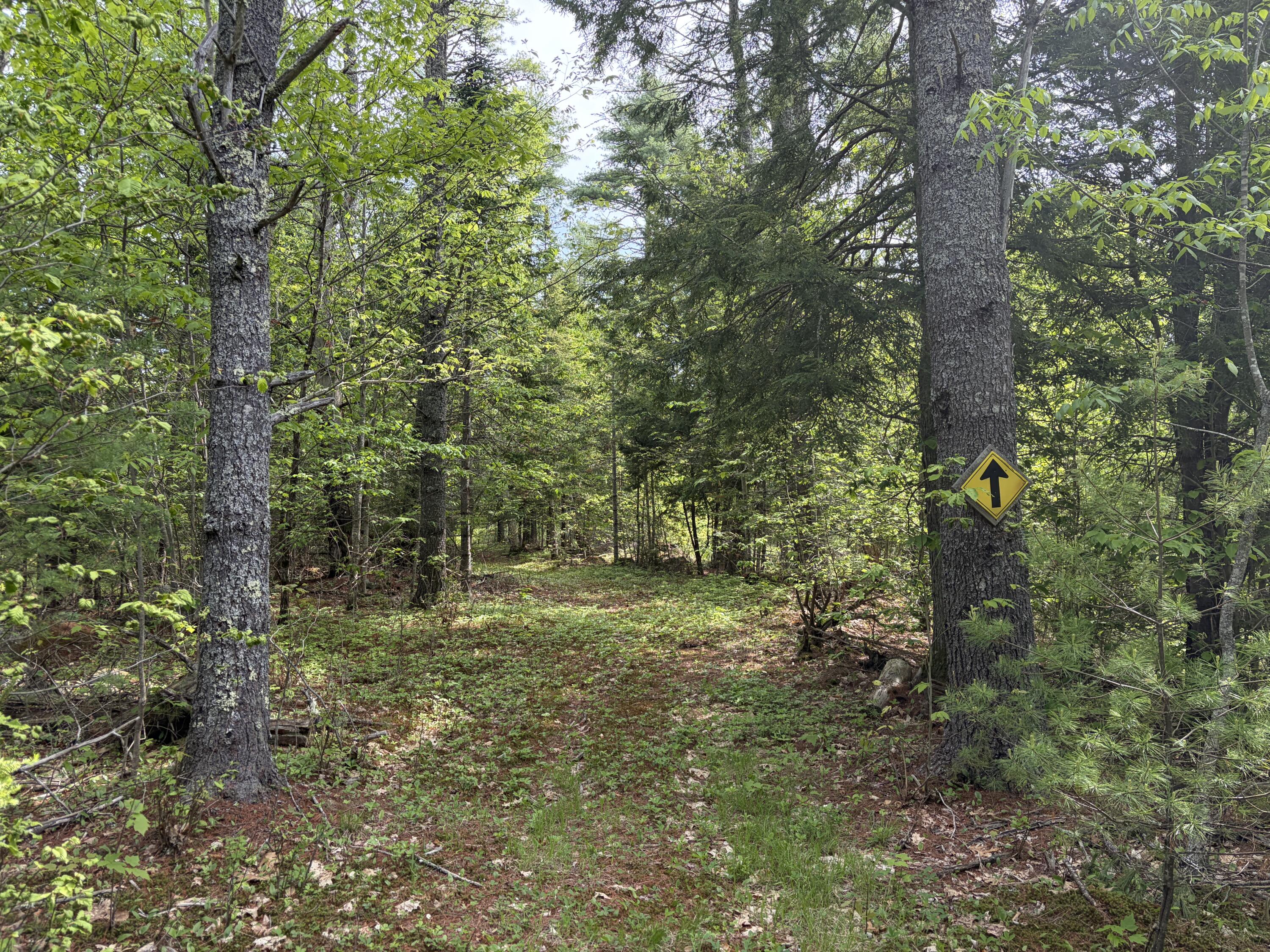 Lot 1 Waldoboro Road Washington, ME 04574 - Photo 13 of 39