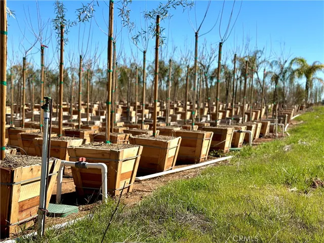 a picture of city view