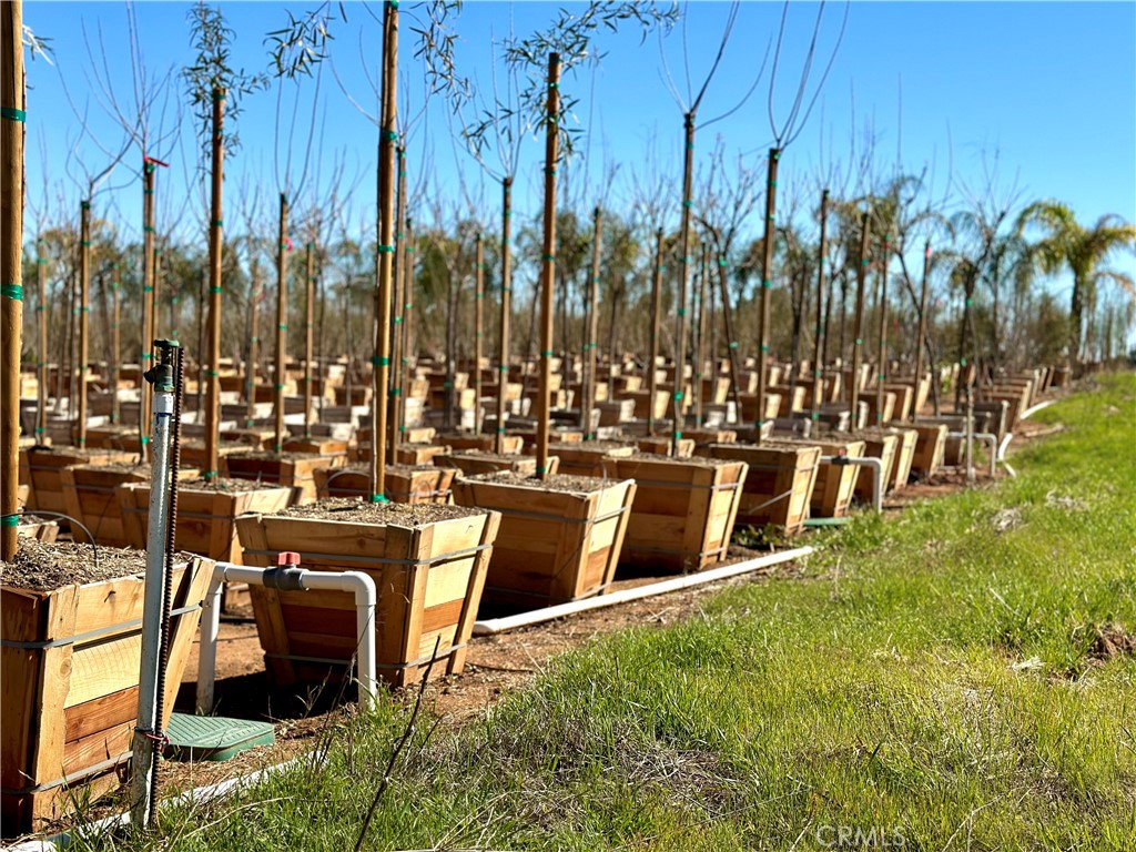 21290 Ellis Avenue Perris, CA 92570 - Photo 22 of 47 a view of swimming pool with outdoor seating and plants