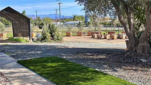 a view of a patio with couches and potted plants