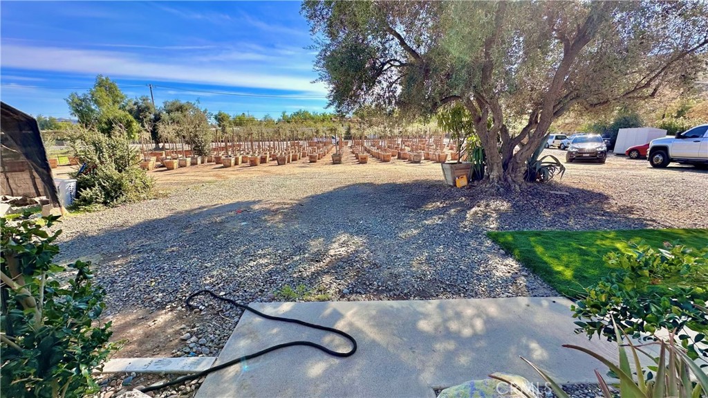 21290 Ellis Avenue Perris, CA 92570 - Photo 27 of 47 a view of a yard with a tree