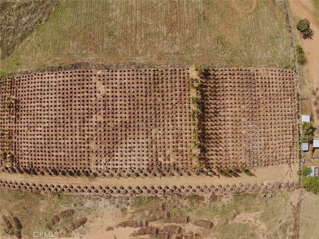 21290 Ellis Avenue Perris, CA 92570 - Photo 34 of 47 a bathroom with a shower