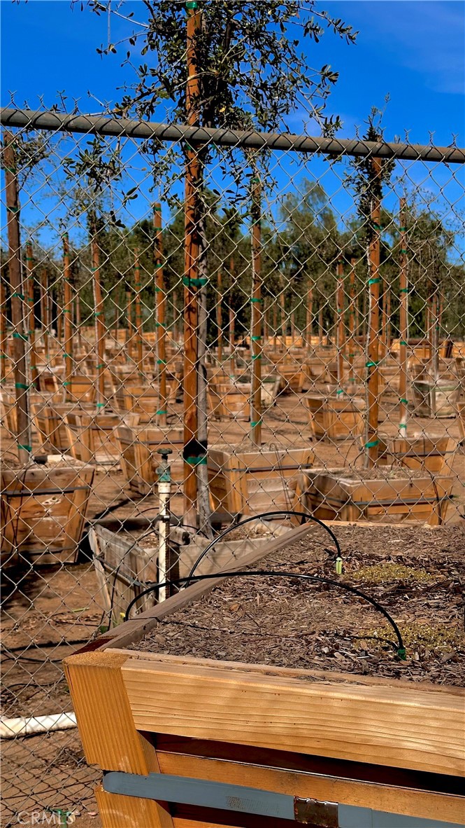 21290 Ellis Avenue Perris, CA 92570 - Photo 47 of 47 a view of a bird bath