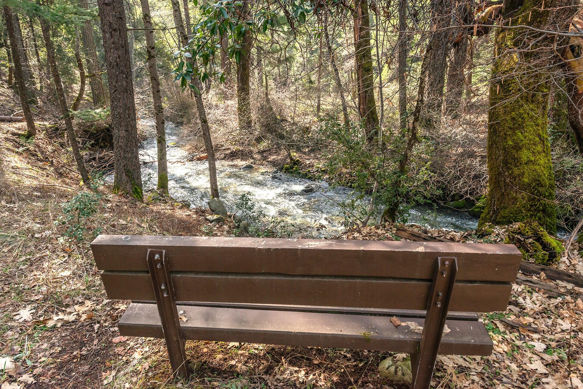 491 East Branch Road Weaverville, CA 96093 - Photo 26 of 59 a view of outdoor space with seating