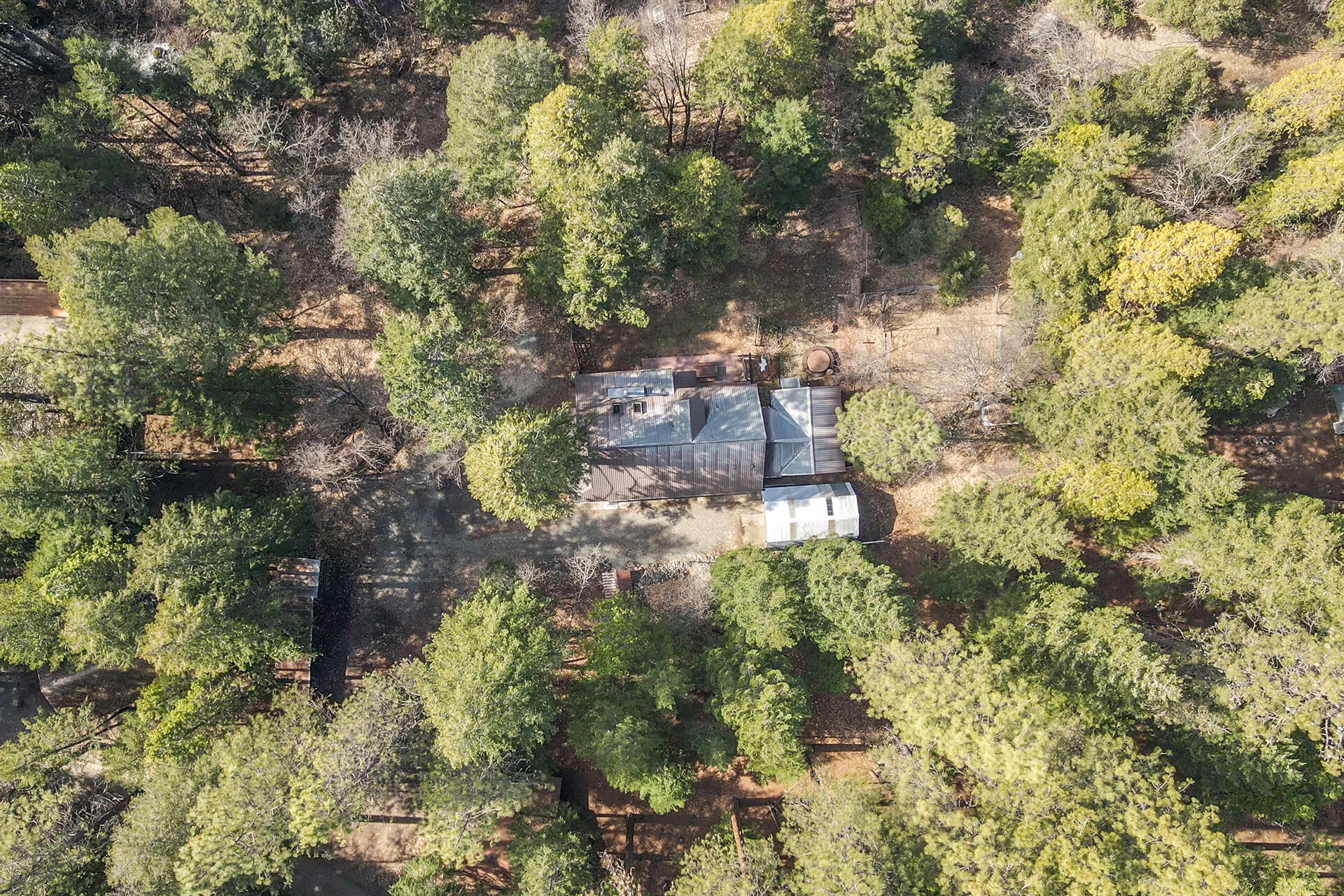 491 East Branch Road Weaverville, CA 96093 - Photo 5 of 59 a backyard of a building with lots of trees