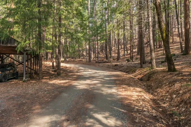a view of a outdoor space with trees