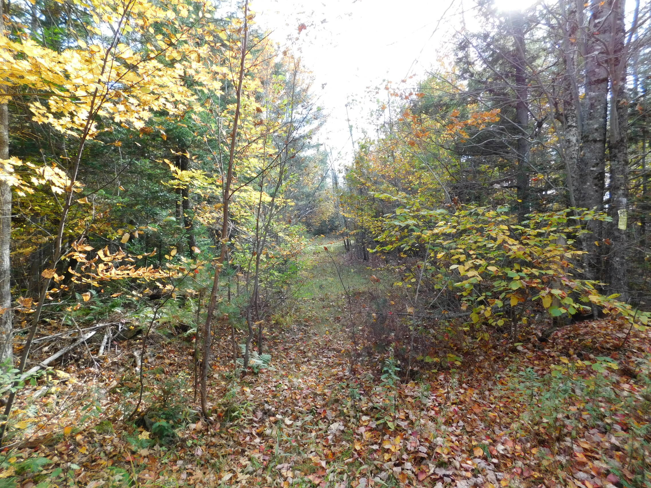 326 Stetson Road Stetson, ME 04488 - Photo 16 of 20 16