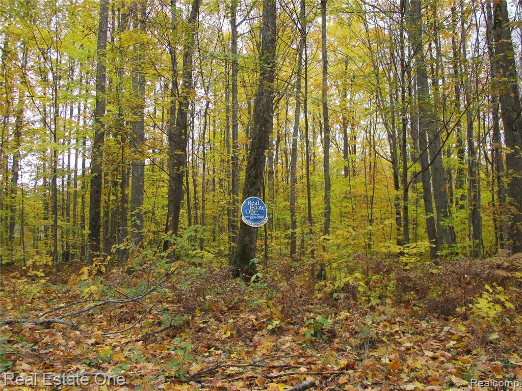 0 Teton Ridge Road Gaylord, MI 49735 - Photo 25 of 25 Gallery Image 25