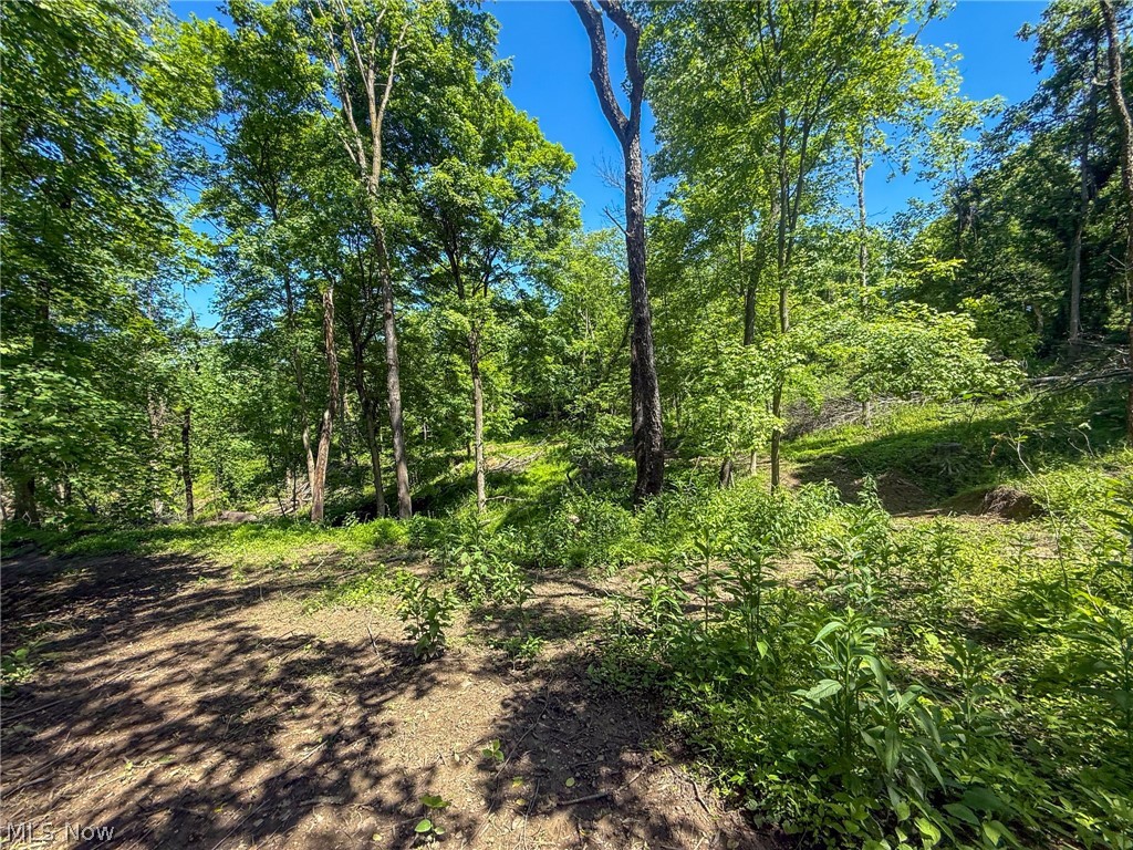 Lot 4 Altamont Road Mingo Junction, OH 43938 - Photo 5 of 27 Gallery Image 5