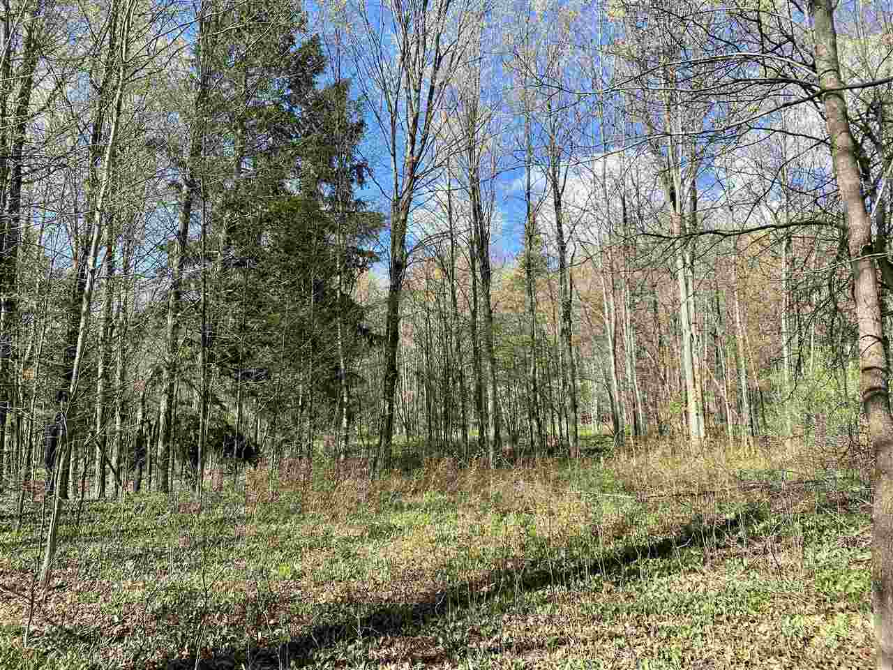 1305 East 46 Road Cadillac, MI 49601 - Photo 37 of 56 1887001-36.JPG