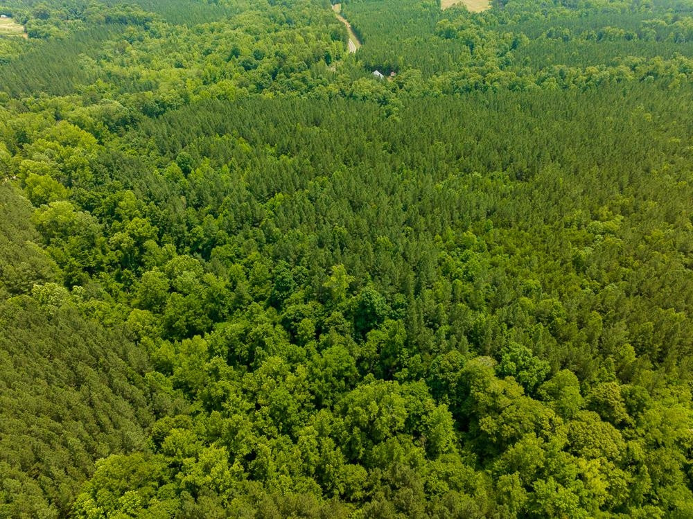 0 Mill Creek Road Roxboro, NC 27574 - Photo 40 of 54 Photo 40