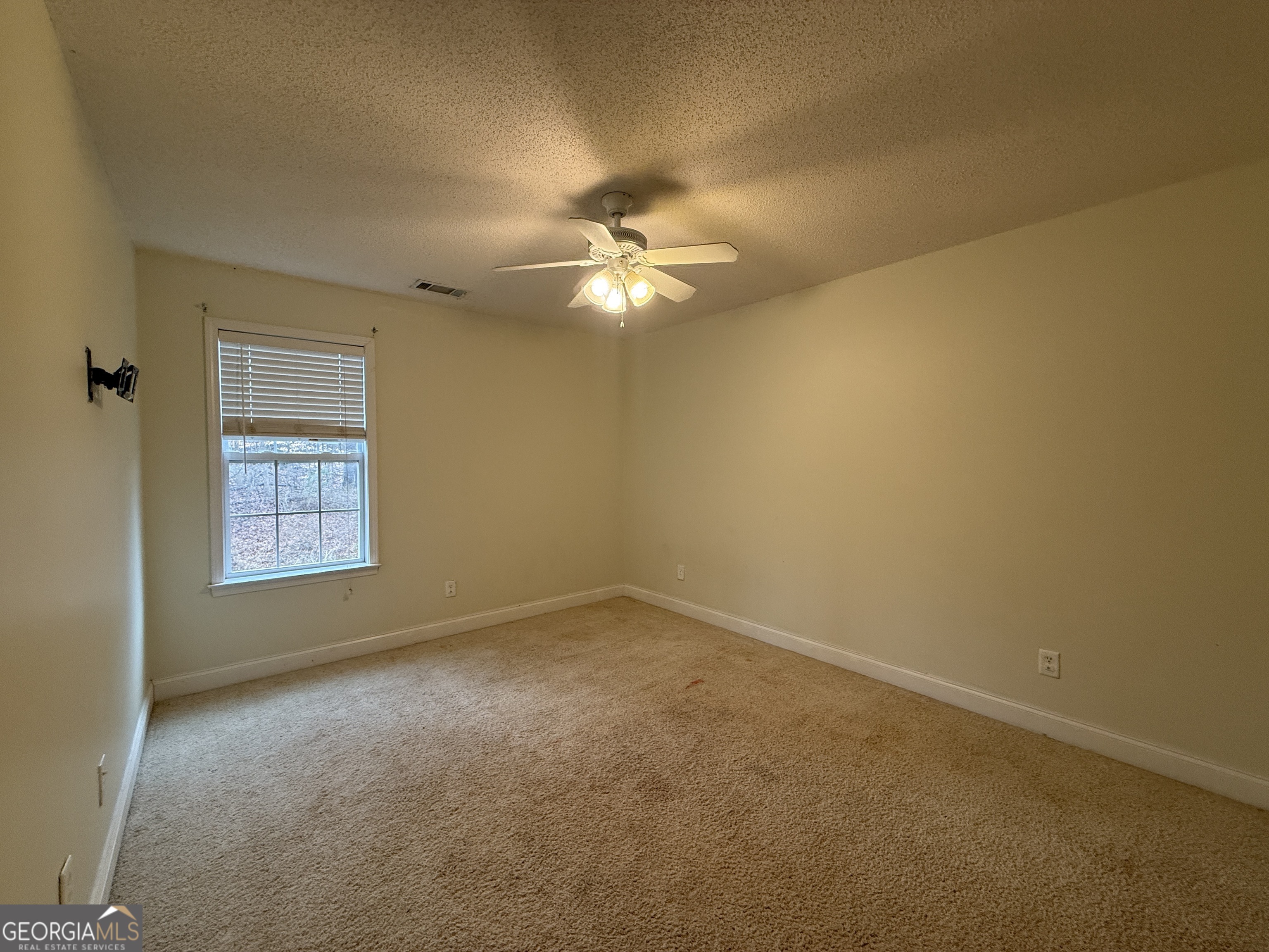 140 Summit Lane Carnesville, GA 30521 - Photo 11 of 13