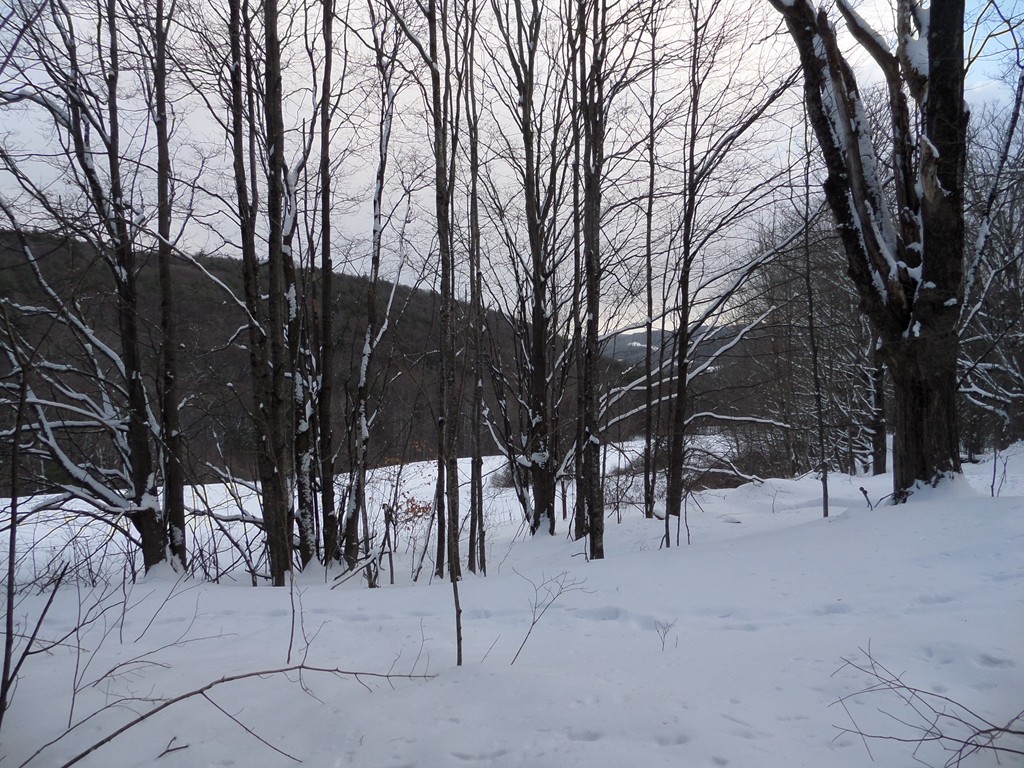 64 Stetson Brothers Road Colrain, MA 01340 - Photo 1 of 7