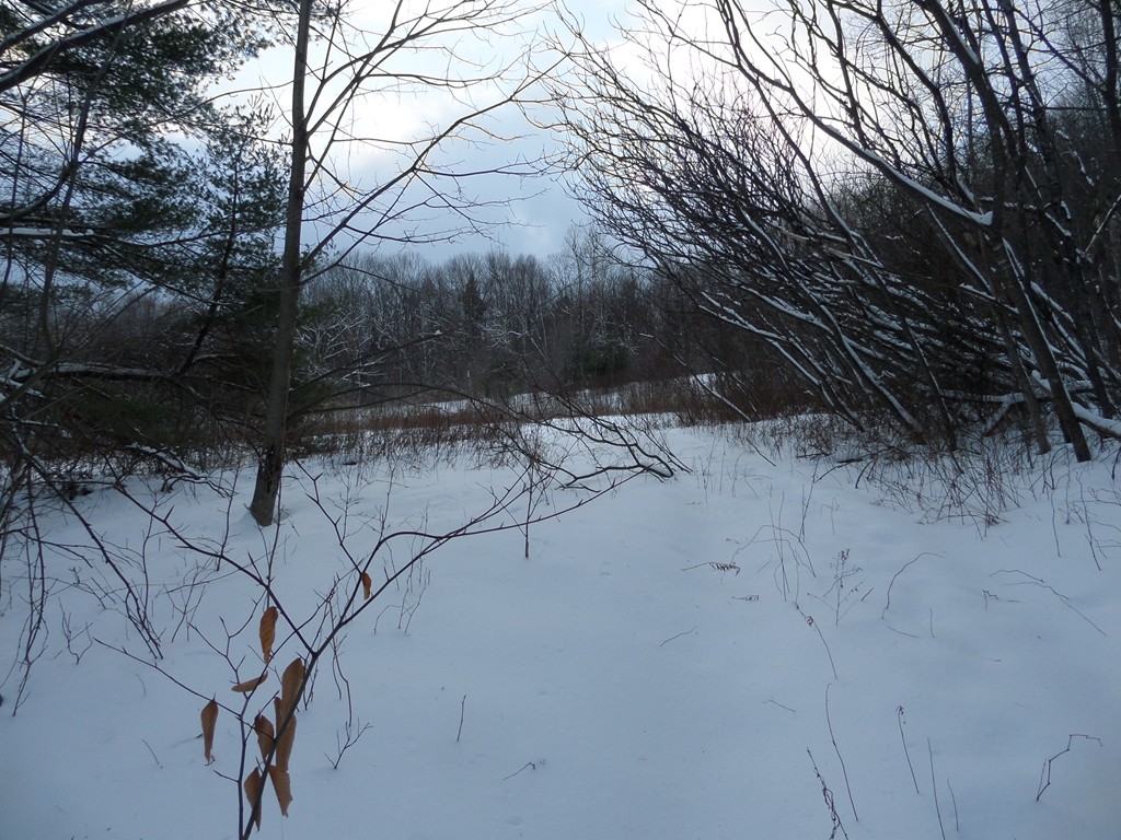 64 Stetson Brothers Road Colrain, MA 01340 - Photo 2 of 7