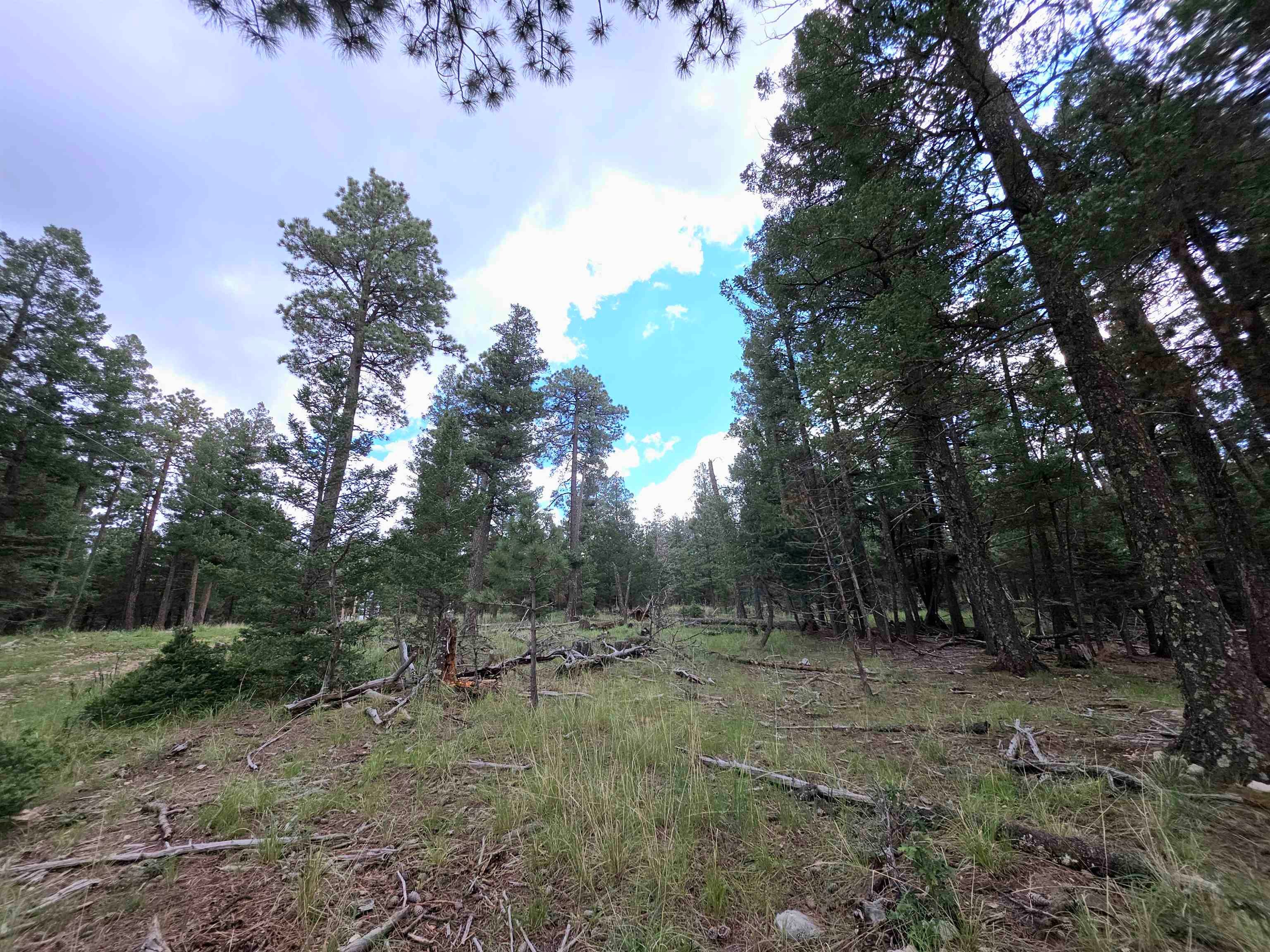 Lot 58 Big Dipper Road Mayhill, NM 88339 - Photo 19 of 50 Gallery Image 19