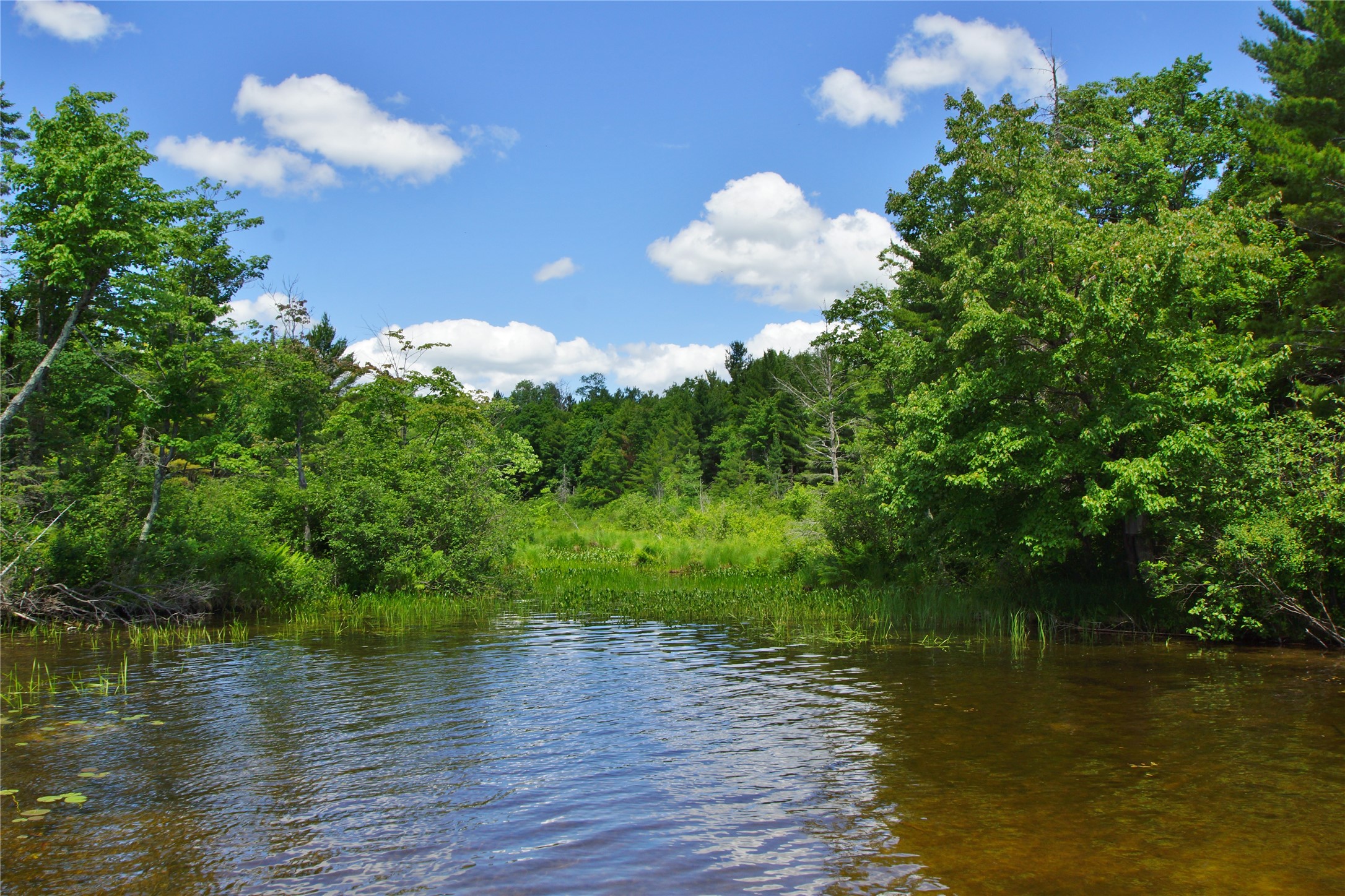 47660 North Diamond Lake Road Cable, WI 54821 - Photo 54 of 58