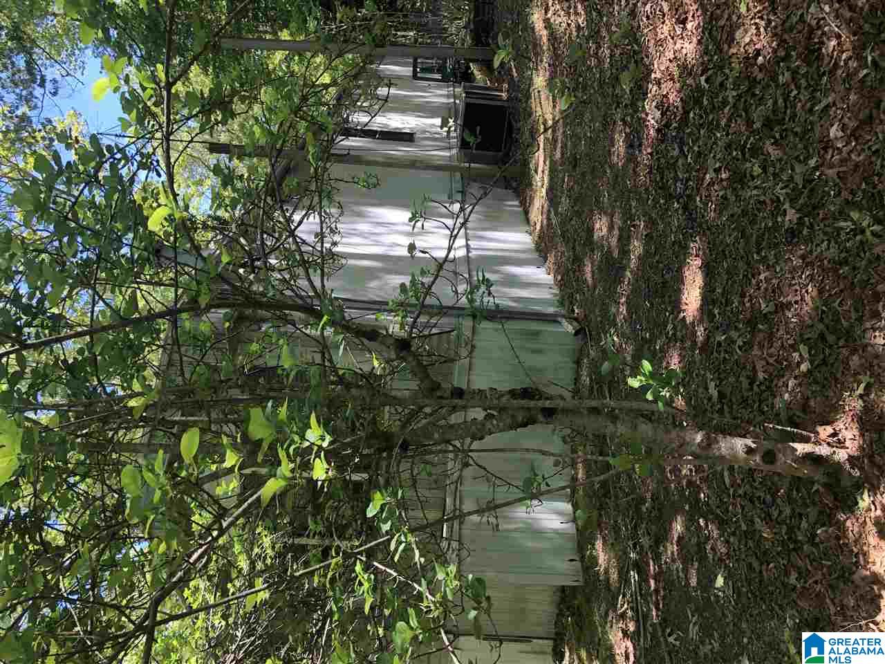 111 County Road 111 Montevallo, AL 35115 - Photo 41 of 46