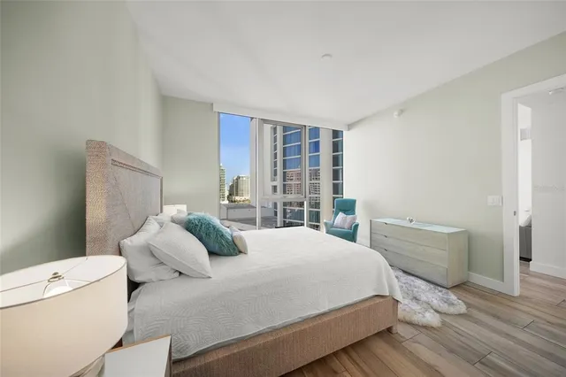 a view of a garden with plants and palm tree