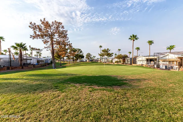 a view of a park with big trees and plants