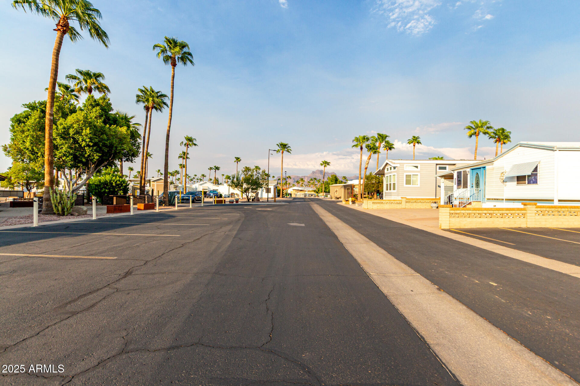 2920 South Cree Drive Apache Junction, AZ 85119 - Photo 39 of 55 a view of a street with cars