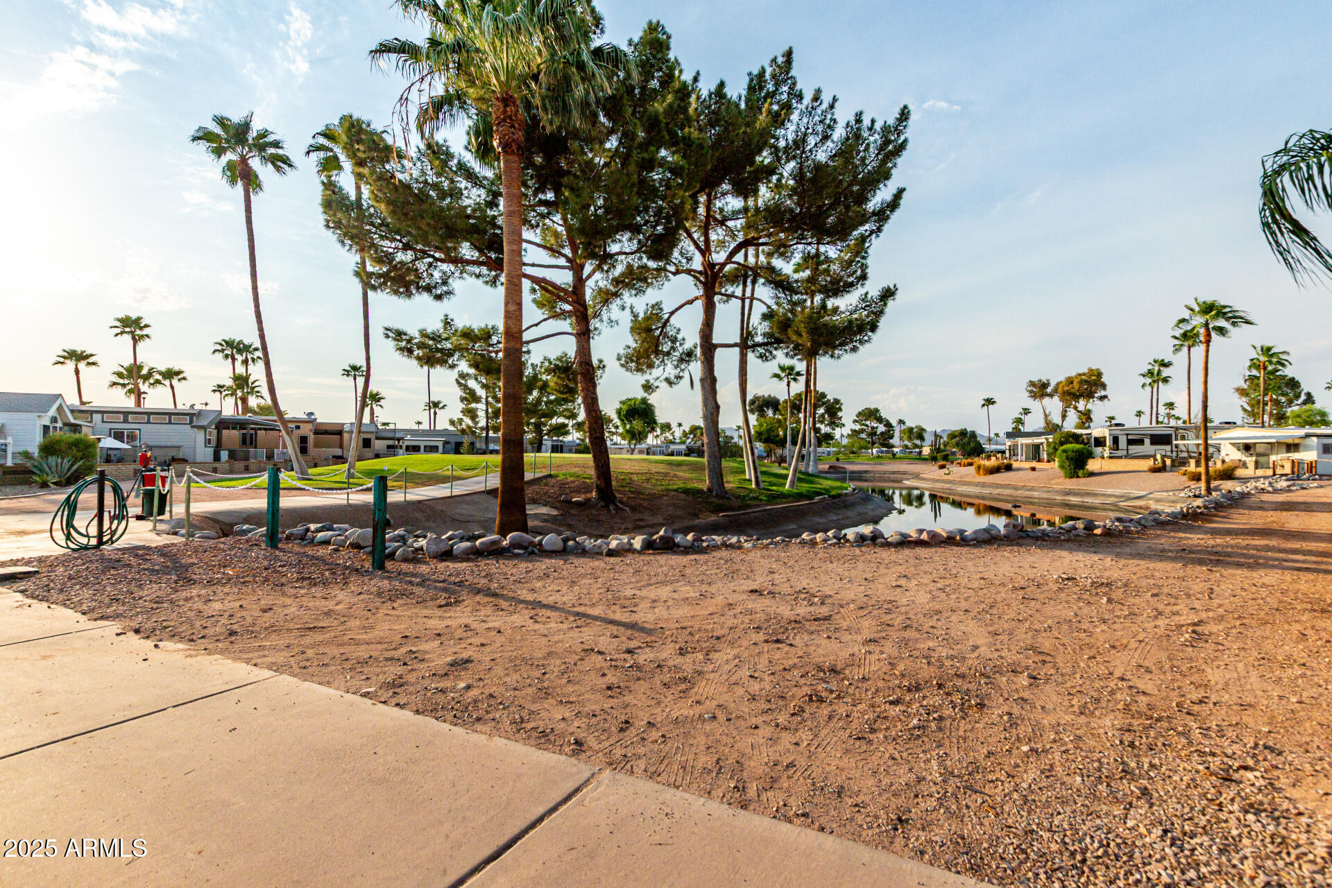 2920 South Cree Drive Apache Junction, AZ 85119 - Photo 42 of 55 a row of palm trees sitting in a yard