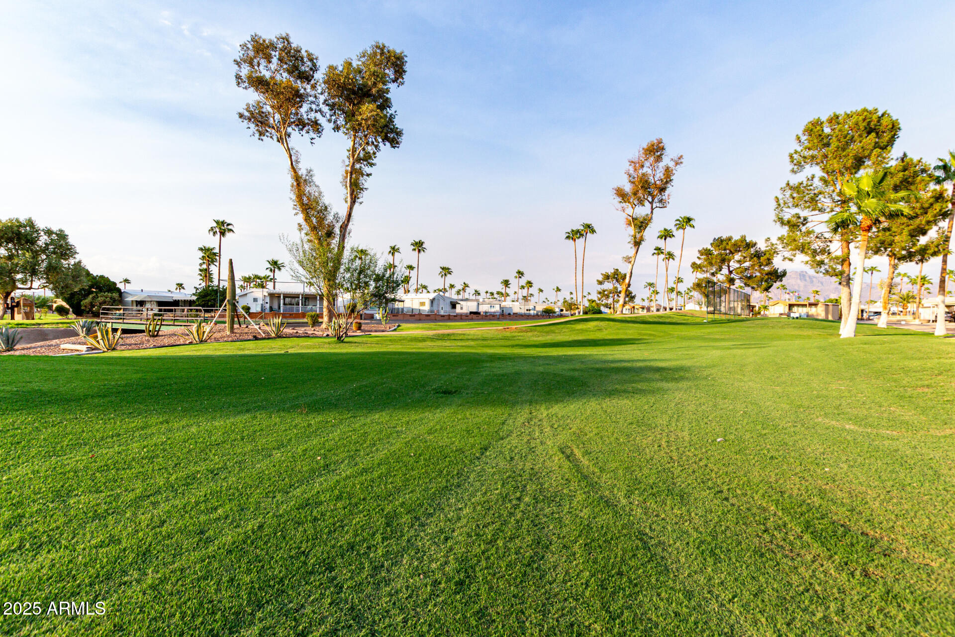 2920 South Cree Drive Apache Junction, AZ 85119 - Photo 47 of 55 a view of a golf course with a big yard