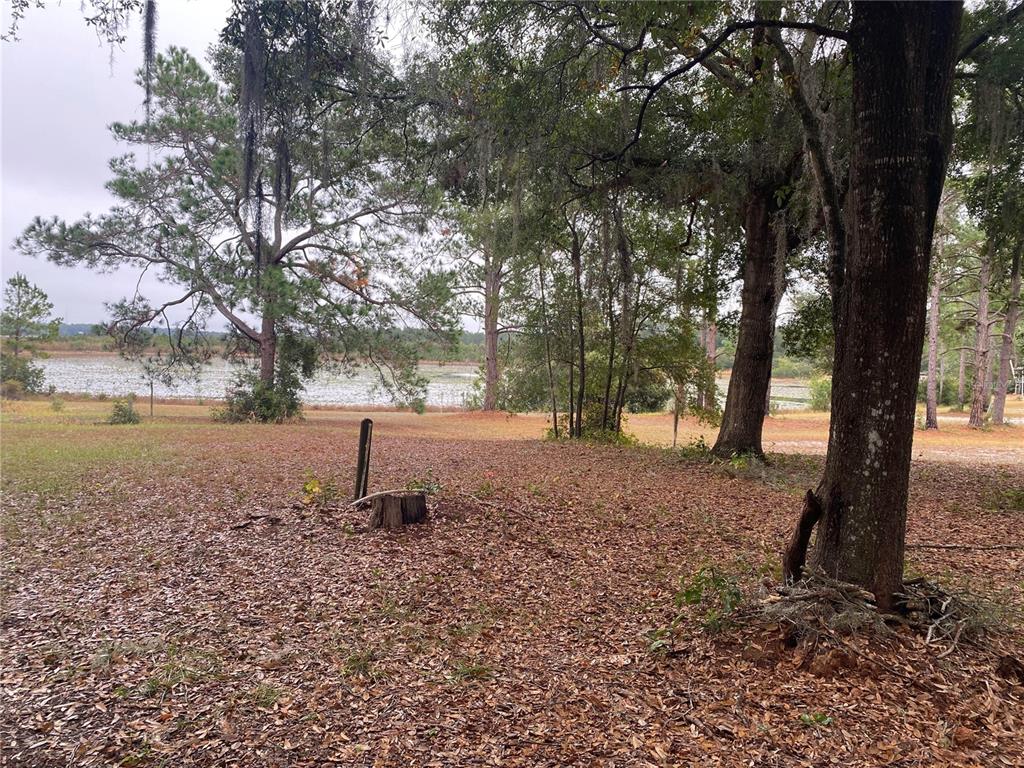 8093 Breezy Point Road East Keystone Heights, FL 32656 - Photo 33 of 34 a ground view with large trees