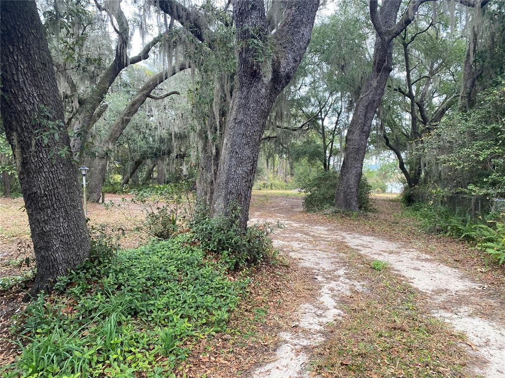 8093 Breezy Point Road East Keystone Heights, FL 32656 - Photo 34 of 34 a view of a yard with a tree