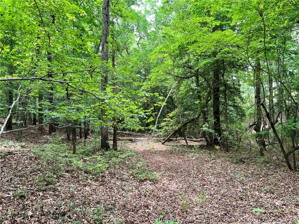 170 Filly Run Lane Carthage, NC 28327 - Photo 12 of 15 Gallery Image 12