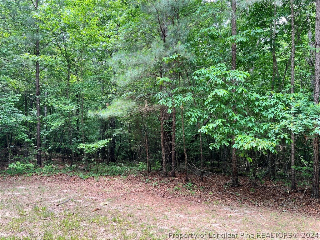 170 Filly Run Lane Carthage, NC 28327 - Photo 3 of 15 Gallery Image 3