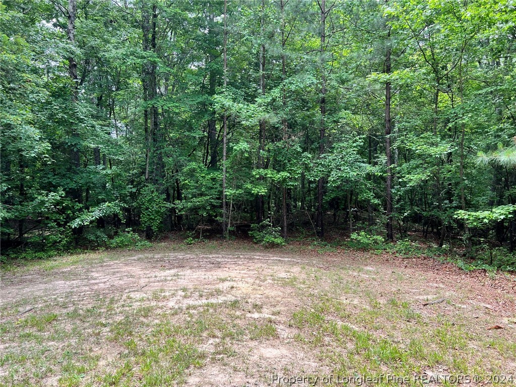 170 Filly Run Lane Carthage, NC 28327 - Photo 4 of 15 Gallery Image 4